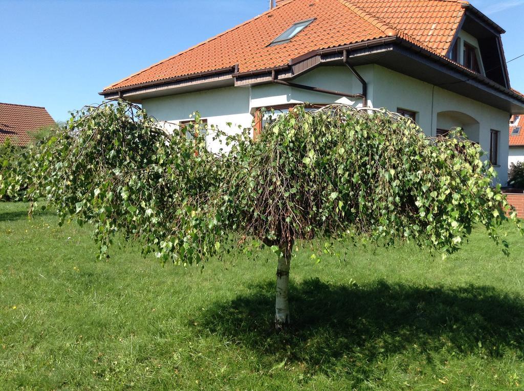 Haus mit Garten Stettin Exterior foto