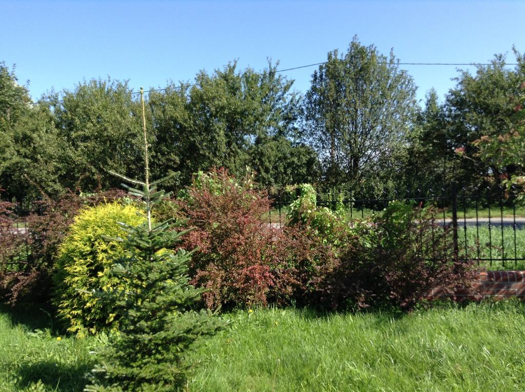 Haus mit Garten Stettin Exterior foto